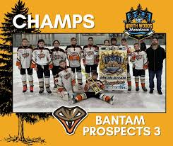 Image result for Glasgow Vipers Roller Hockey Club