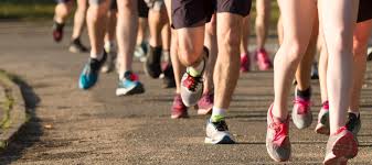 Image result for Manchester Harriers & Athletics Club