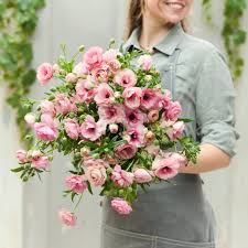 Attēlu rezultāti vaicājumam “Ranunculus elatior”