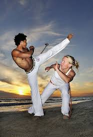 Image result for Brazilian-martial arts