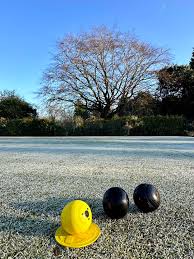 Image result for Thurston Bowls Club
