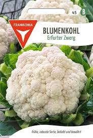 Image result for Blumenkohl