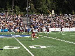 Image result for Stingers Korfball Club