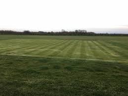 Image result for All Cannings Cricket Club