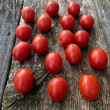 Afbeeldingsresultaat voor principe borghese tomato