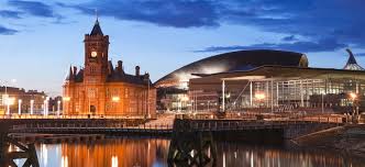 Image result for Cardiff Capitals