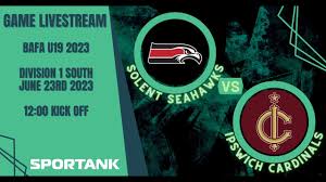 Image result for Ipswich Cardinals American Football Club