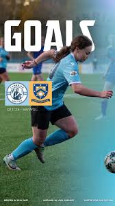 Image result for Penclawdd A F C