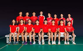 Image result for Circus Junior Badminton Club