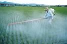 What are <b>pesticide</b> residues?