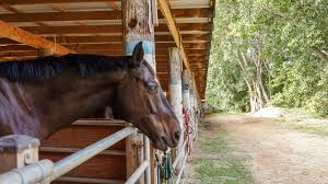 Image result for Cliff Hatch Stables