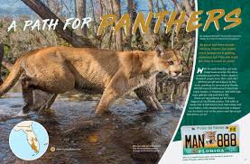 Image result for Pentland Panthers