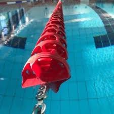 Image result for BRIGHOUSE SWIMMING CLUB