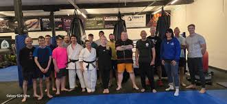 Image result for Excalibur Shotokan Karate Club