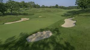 Image result for The Alt Golf Club