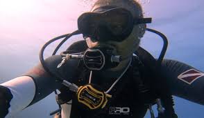 Image result for Looe Diving Club