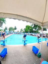 Image result for Swindon Dolphins Swimming Club