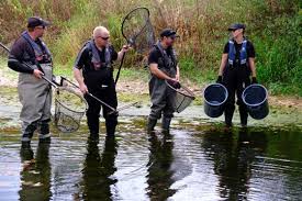 Image result for Leatherhead & District Angling Society