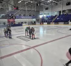 Image result for Sheffield Wildcats Rink Hockey and Roller Skating Club