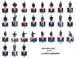 Image result for Ronin Yudansha Ryu