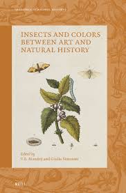 Attēlu rezultāti vaicājumam “Agrochola helvola imago”