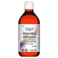 Attēlu rezultāti vaicājumam “Inonotus obliquus”