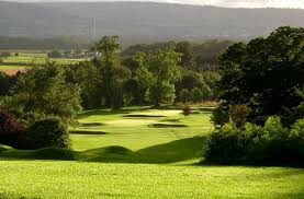 Image result for Carlow Golf Club