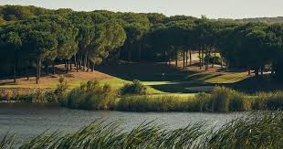 Image result for The Alt Golf Club