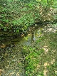 Image result for Preston Mountaineering Club