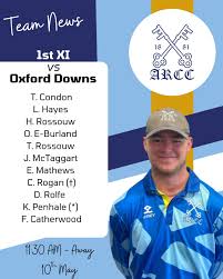 Image result for Aston Rowant Cricket Club