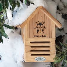 Image result for ladybug house