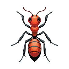 Attēlu rezultāti vaicājumam “Formica rufa imago”