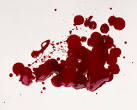 SinusSister Tag archive for blood