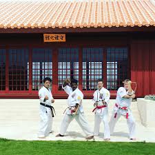Image result for Inyo Karate Do Ninbukan