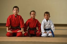 Image result for Roswell Martial Arts KA