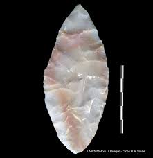 Image result for feuille-laurier-silex