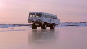 Image result for tundra buggy