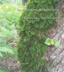 Attēlu rezultāti vaicājumam “Campylophyllum calcareum sporophyte”