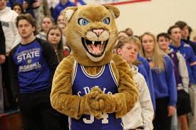 Image result for Craigavon Cougars