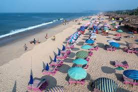 Image result for goa beaches