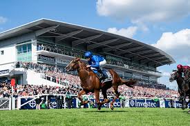 Image result for The Horse Racing Club