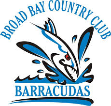 Image result for Black Country Barracudas Sub Aqua Club