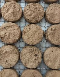 Attēlu rezultāti vaicājumam “Thamnobryum alopecurum”