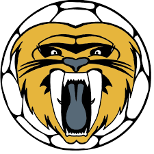 Image result for Bristol Handball Club