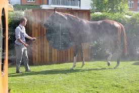 Image result for heiss tehron