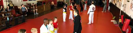 Image result for Norfolk Karate