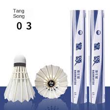 Image result for Flying Rackets Badminton Club