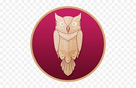 Image result for owl illuminati symbol
