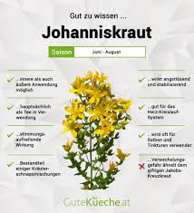 Image result for Johanniskraut