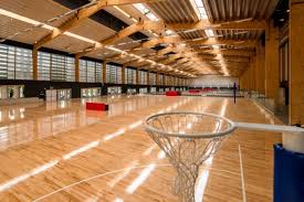 Image result for Sports Centre Netball